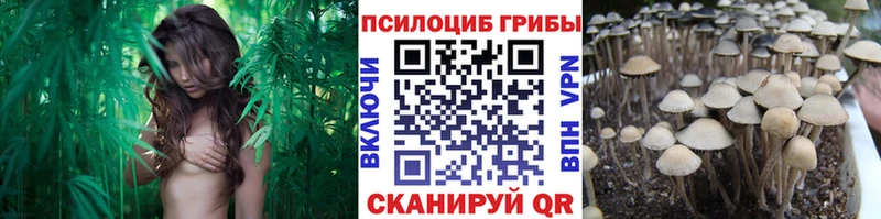 Псилоцибиновые грибы Magic Shrooms  где купить   Славск 